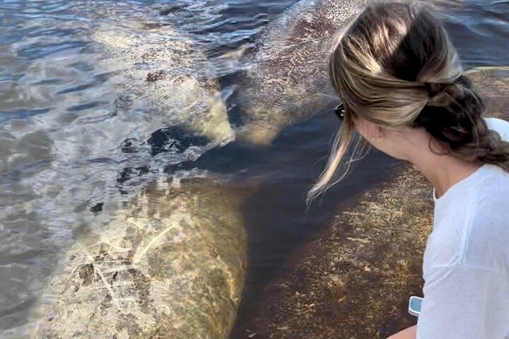 Boottocht in Naples, Florida, met zicht op zeekoeien en wildlife in de Everglades, foto 9 | wizardtrip