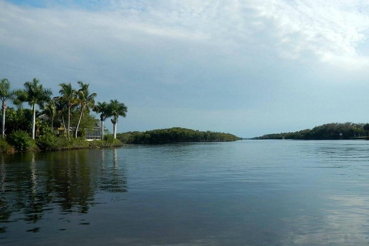 Boottocht in Naples, Florida, met zicht op zeekoeien en wildlife in de Everglades, foto 21 | wizardtrip