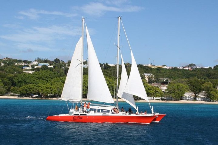 Katamaranfahrt in Barbados mit Schnorcheln zwischen Schildkröten und Schiffswracks, Foto 3 | wizardtrip