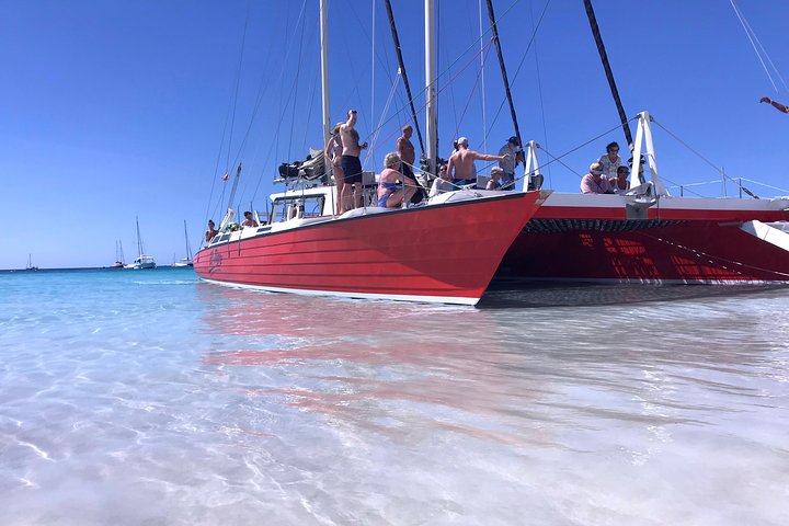 Katamaranfahrt in Barbados mit Schnorcheln zwischen Schildkröten und Schiffswracks, Foto 5 | wizardtrip