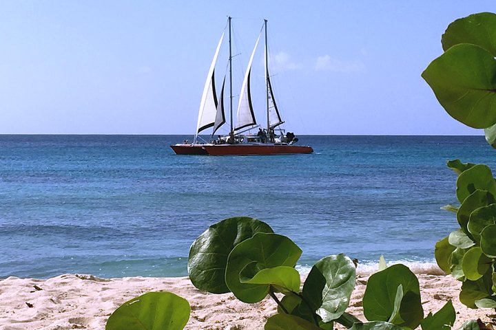 Katamaranfahrt in Barbados mit Schnorcheln zwischen Schildkröten und Schiffswracks, Foto 7 | wizardtrip