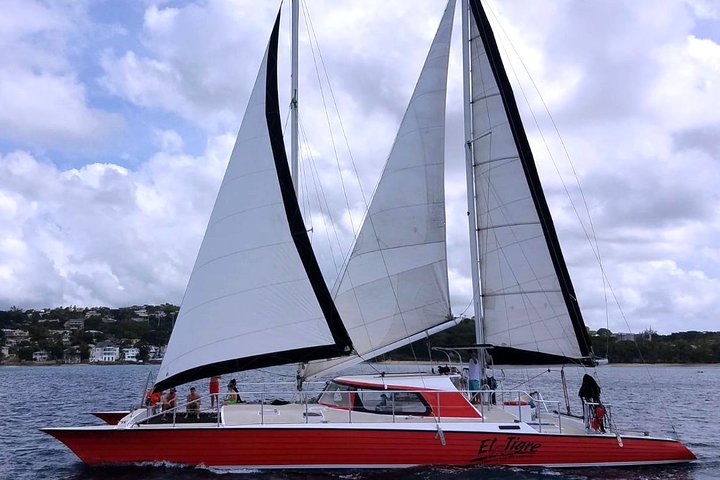 Katamaranfahrt in Barbados mit Schnorcheln zwischen Schildkröten und Schiffswracks, Foto 9 | wizardtrip