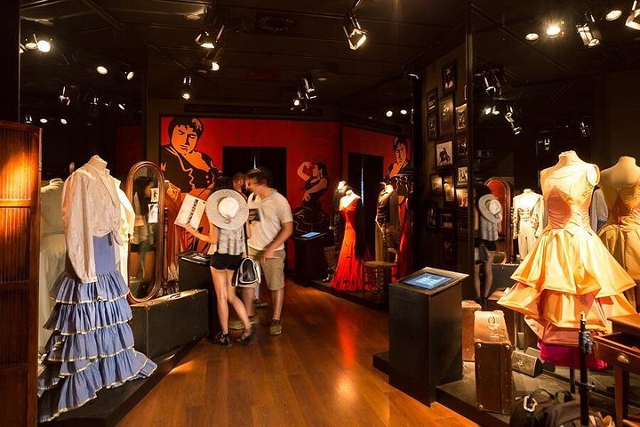 Experience a passionate flamenco show in Seville's historic Flamenco Dance Museum, photo 10 | wizardtrip