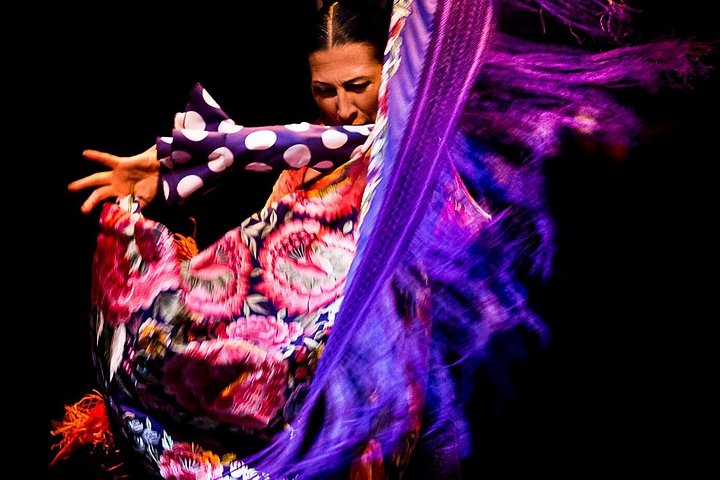 Experience a passionate flamenco show in Seville's historic Flamenco Dance Museum, photo 15 | wizardtrip