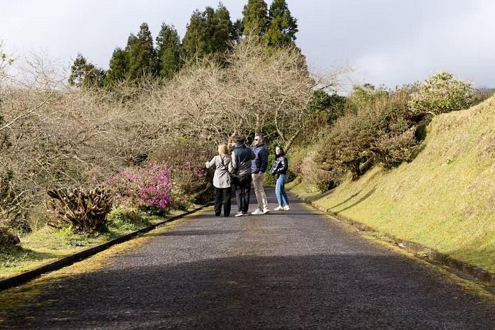 Opplev Furnas' vulkanske varme kilder og tradisjonelle mat om natten på São Miguel-øya, Azorene, foto 6 | wizardtrip