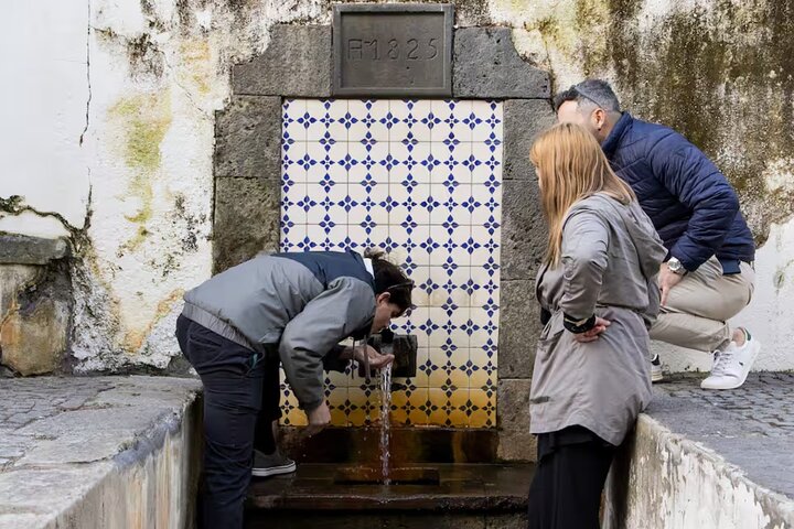 Opplev Furnas' vulkanske varme kilder og tradisjonelle mat om natten på São Miguel-øya, Azorene, foto 7 | wizardtrip