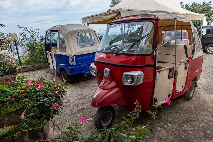 Passeio de Tuk Tuk em Sorrento com preparação de pizza e degustações, foto 10 | wizardtrip