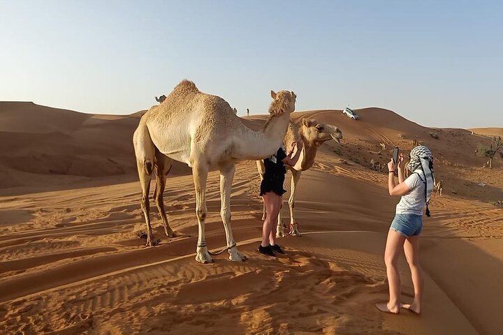 Dubai Private Morning Lahbab Red Dunes Safari & Camel Ride | wizardtrip