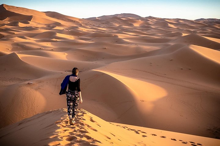 Privat morgensafari i Dubais ørken med sanddyne-bashing, kamelridning og sandboarding, foto 10 | wizardtrip