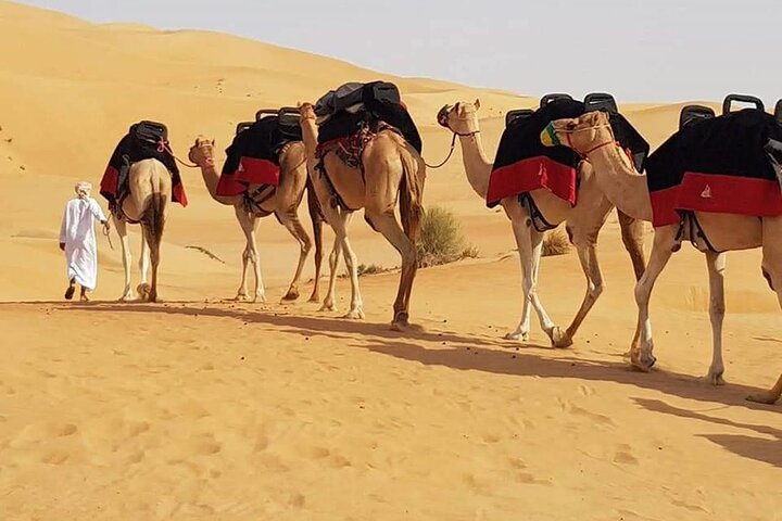 Oplev en spændende Dubai ørkensafari med dune bashing, kamelridning og BBQ-middag, foto 10 | wizardtrip