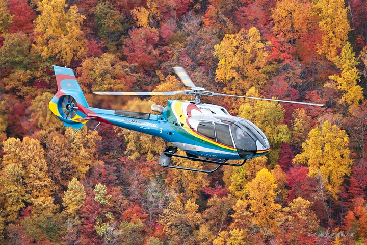 Helikoptertur over Niagara Falls, Canada, med utsikt over fossene og omkringliggende landemerker fra luften, foto 7 | wizardtrip