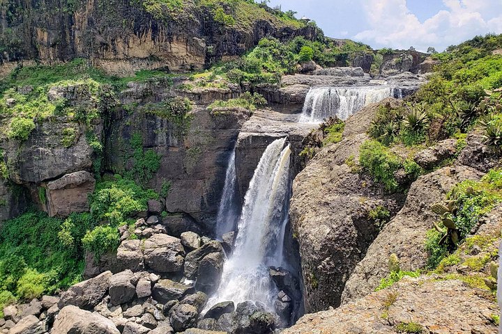 Day trip to Debre Libanos Monastery and Portuguese Bridge from Addis Ababa, Ethiopia, featuring nature and wildlife, photo 10 | wizardtrip