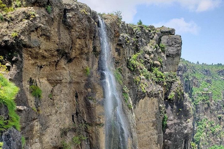 Day trip to Debre Libanos Monastery and Portuguese Bridge from Addis Ababa, Ethiopia, featuring nature and wildlife, photo 11 | wizardtrip