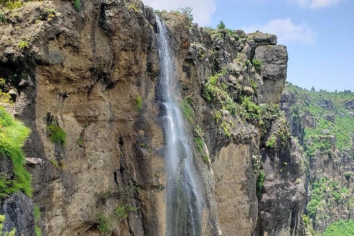 Day trip to Debre Libanos Monastery and Portuguese Bridge from Addis Ababa, Ethiopia, featuring nature and wildlife, photo 12 | wizardtrip