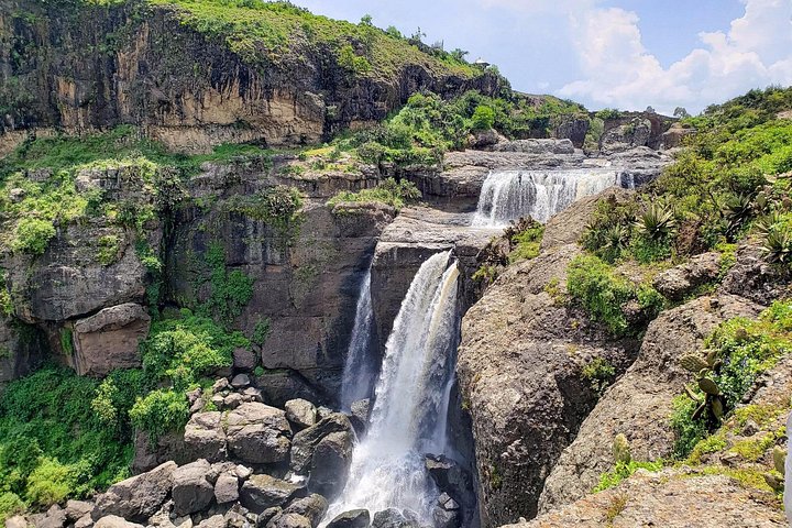 Day trip to Debre Libanos Monastery and Portuguese Bridge from Addis Ababa, Ethiopia, featuring nature and wildlife, photo 13 | wizardtrip