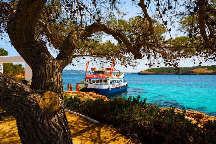 Catamarcruise op Ibiza met strandstops, paddleboarden, eten en drinken, foto 7 | wizardtrip