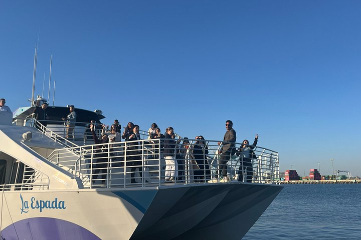 Excursion d'observation des baleines à Long Beach, Californie, repérant des baleines et des dauphins depuis un bateau, photo 16 | wizardtrip