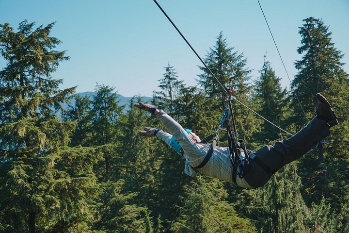 Zipline-eventyr gennem den alaskiske regnskovs tronehøjde i Ketchikan, foto 7 | wizardtrip