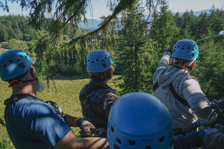 Zipline-eventyr gennem den alaskiske regnskovs tronehøjde i Ketchikan, foto 8 | wizardtrip