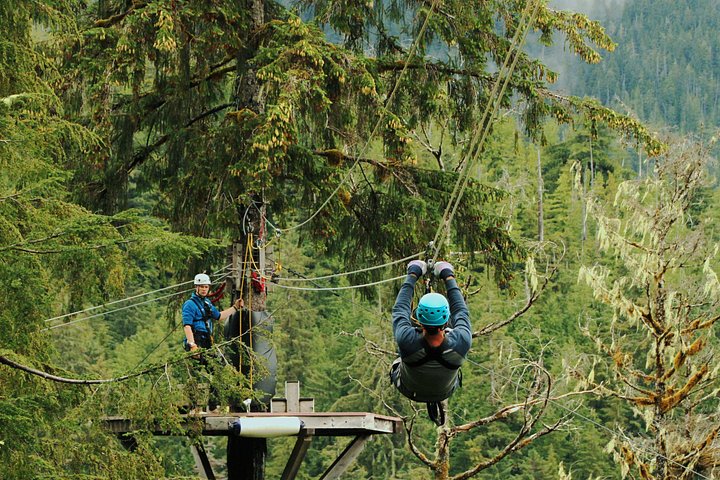Zipline-eventyr gennem den alaskiske regnskovs tronehøjde i Ketchikan, foto 12 | wizardtrip
