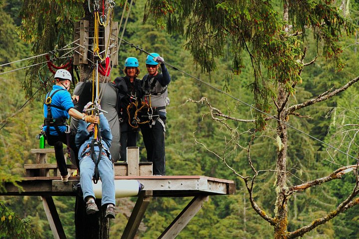 Zipline-eventyr gennem den alaskiske regnskovs tronehøjde i Ketchikan, foto 13 | wizardtrip