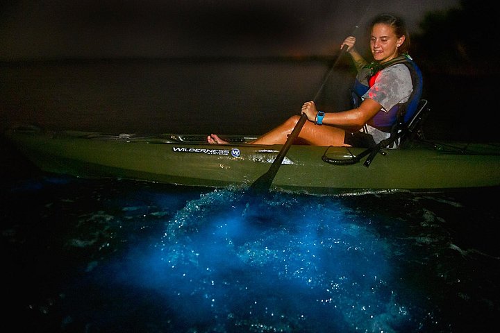 Bioluminescence Kayak Tour | wizardtrip