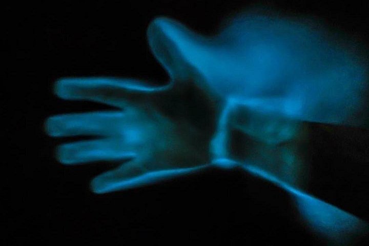 Tour notturno in kayak che mostra la bioluminescenza nelle lagune di Cocoa Beach, foto 6 | wizardtrip