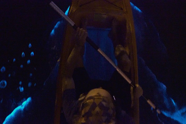 Tour notturno in kayak che mostra la bioluminescenza nelle lagune di Cocoa Beach, foto 7 | wizardtrip
