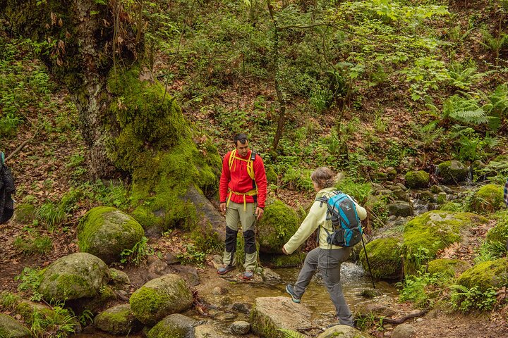 Wanderung durch die einzigartigen Felsformationen und Klöster von Meteora, Griechenland, Foto 6 | wizardtrip