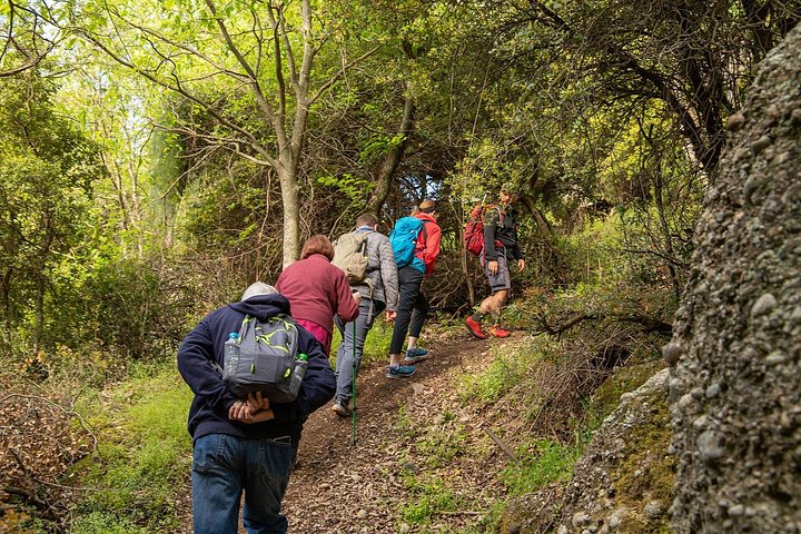 Wanderung durch die einzigartigen Felsformationen und Klöster von Meteora, Griechenland, Foto 24 | wizardtrip