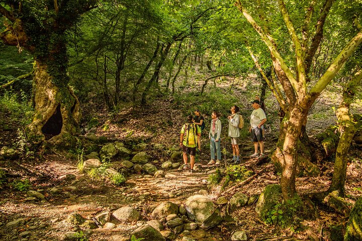 Wanderung durch die einzigartigen Felsformationen und Klöster von Meteora, Griechenland, Foto 33 | wizardtrip