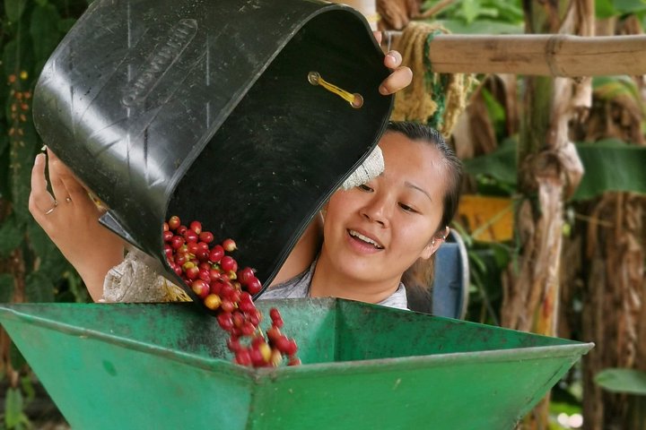 Privat tur till Guatapé, Colombia, med den färgglada staden, den ikoniska klippan och en kaffeupplevelse, foto 9 | wizardtrip