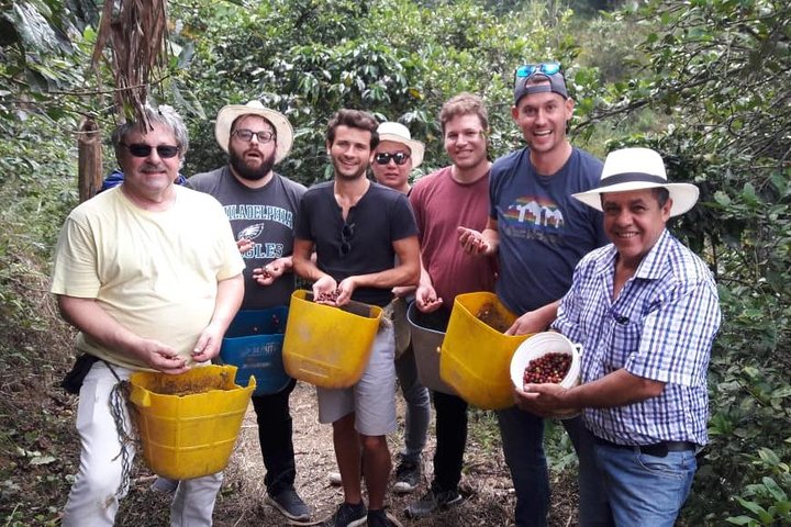 Découvrez une visite privée d'une ferme de café près de Medellín, Colombie, de la plantation à la torréfaction, photo 7 | wizardtrip