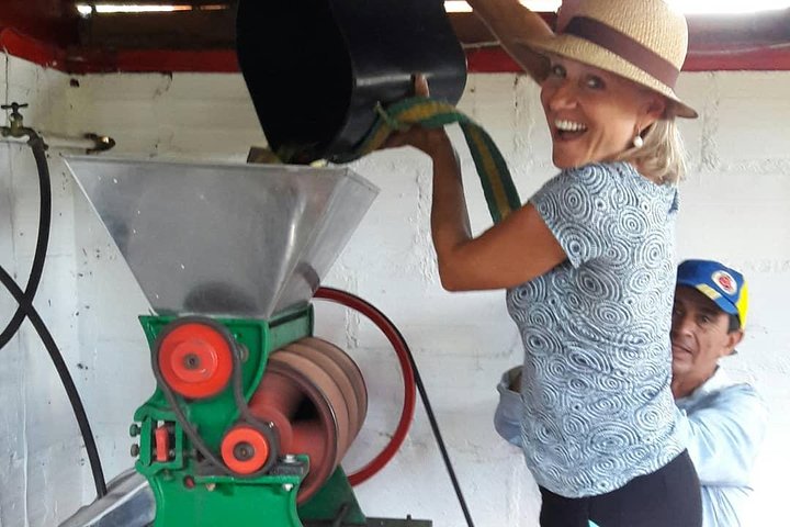 Découvrez une visite privée d'une ferme de café près de Medellín, Colombie, de la plantation à la torréfaction, photo 9 | wizardtrip