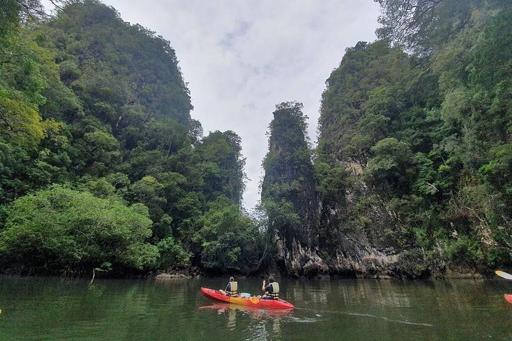 Krabi's Deep Mangrove and Canyon Kayak Adventure | wizardtrip