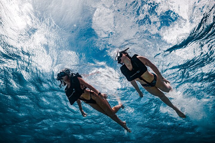 Tour en catamaran et snorkeling à Aruba avec brunch et boissons, photo 3 | wizardtrip