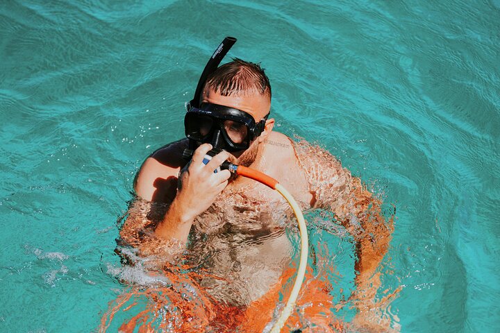 Tour en catamaran et snorkeling à Aruba avec brunch et boissons, photo 13 | wizardtrip