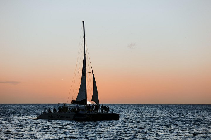 Katamaran-Sonnenuntergangsfahrt in Aruba mit atemberaubender Küstenansicht und lebendigen Himmelsfarben, Foto 7 | wizardtrip