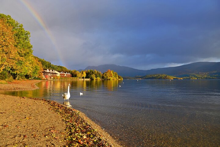 Excursion dans les Highlands, les lochs et les châteaux au départ d'Édimbourg | wizardtrip