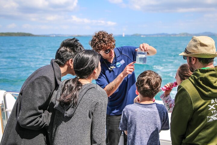 Hval- og delfinsafari-cruise i Aucklands Hauraki Gulf, foto 6 | wizardtrip