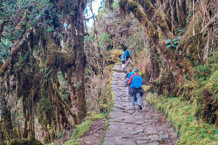 Vandre Inkastien til Machu Picchu, Peru, med gamle ruiner, bjerglandskaber og togrejser, foto 33 | wizardtrip