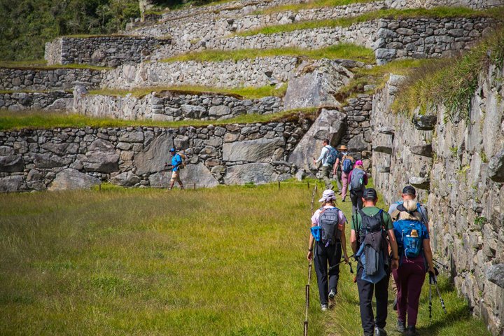 Trek de deux jours sur le Chemin Inca vers Machu Picchu avec train Vistadome, Pérou, photo 13 | wizardtrip