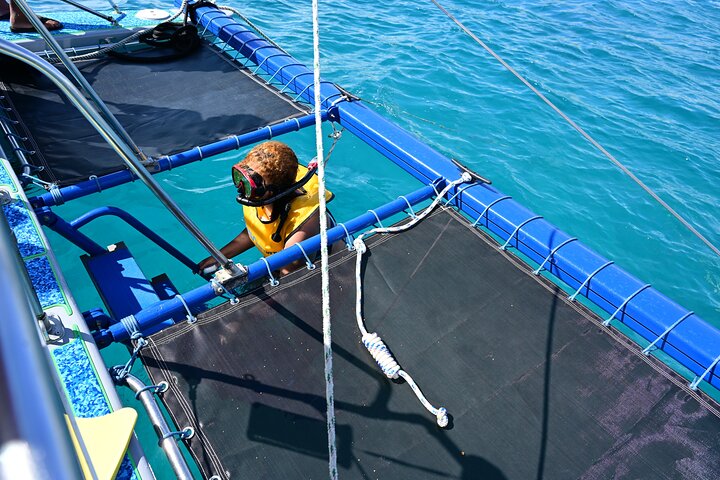 Excursion en catamaran à Oahu, Hawaï, avec observation garantie de tortues de mer, photo 6 | wizardtrip