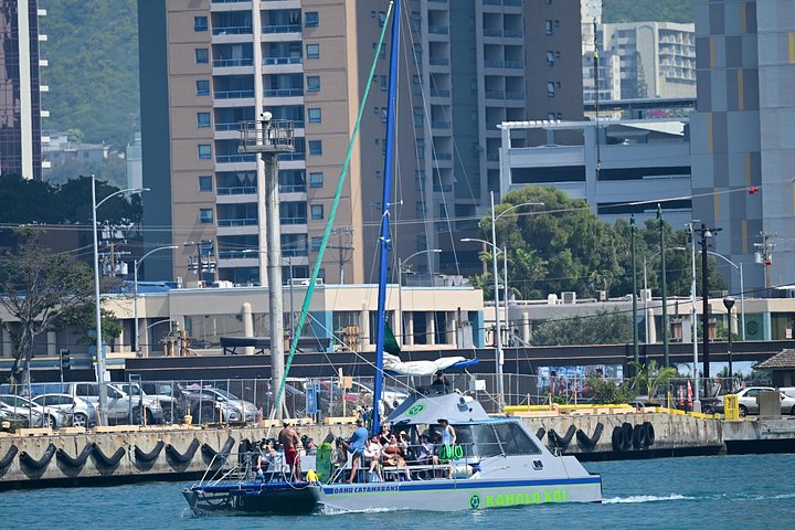 Excursion en catamaran à Oahu, Hawaï, avec observation garantie de tortues de mer, photo 7 | wizardtrip