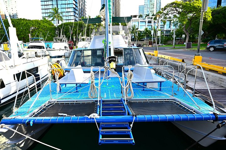Excursion en catamaran à Oahu, Hawaï, avec observation garantie de tortues de mer, photo 12 | wizardtrip