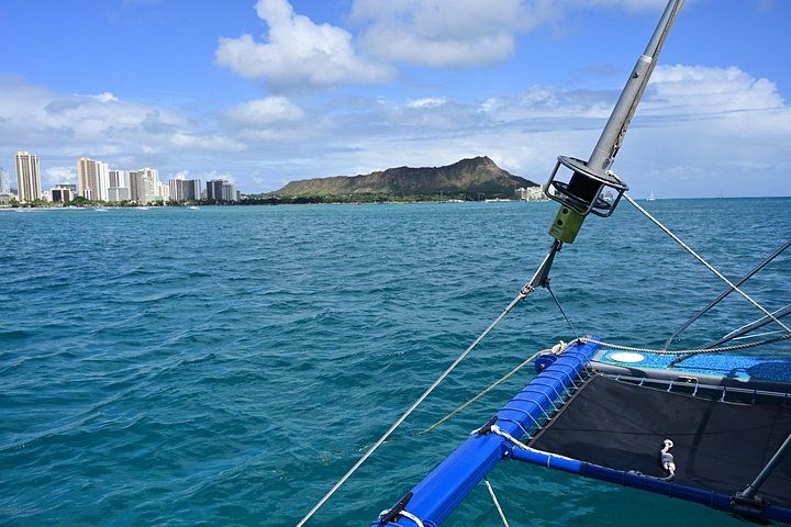 Excursion en catamaran à Oahu, Hawaï, avec observation garantie de tortues de mer, photo 15 | wizardtrip