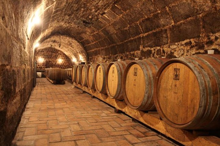 Landpartie für Genießer: Weinprobe mit Essen & Transfer ab Budapest | wizardtrip