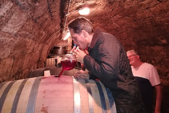 Wine tasting and traditional Hungarian meal in the Etyek wine region near Budapest, photo 11 | wizardtrip