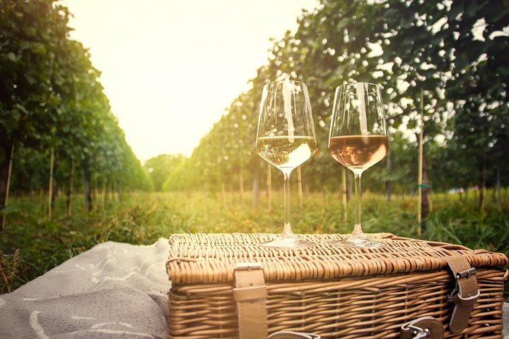 Wine tasting and traditional Hungarian meal in the Etyek wine region near Budapest, photo 13 | wizardtrip