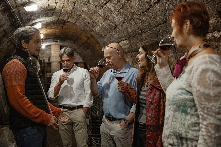 Wine tasting and traditional Hungarian meal in the Etyek wine region near Budapest, photo 18 | wizardtrip